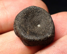 Load image into Gallery viewer, Jurassic ichthyosaur bone (vertebra) from Lyme Regis (17mm)
