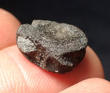 Load image into Gallery viewer, Jurassic ichthyosaur bone (vertebra) from Lyme Regis (14mm)
