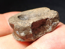 Load image into Gallery viewer, Jurassic ichthyosaur bone (vertebra) from Lyme Regis (26mm)
