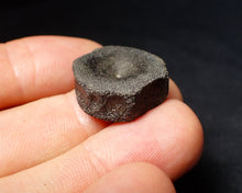 Load image into Gallery viewer, Jurassic ichthyosaur bone (vertebra) from Lyme Regis (22mm)
