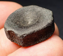 Load image into Gallery viewer, Jurassic ichthyosaur bone (vertebra) from Lyme Regis (22mm)
