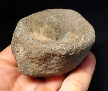 Load image into Gallery viewer, Large Jurassic ichthyosaur bone (vertebra) from Lyme Regis (74mm)

