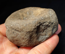 Load image into Gallery viewer, Large Jurassic ichthyosaur bone (vertebra) from Lyme Regis (74mm)
