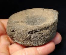 Load image into Gallery viewer, Large Jurassic ichthyosaur bone (vertebra) from Lyme Regis (74mm)

