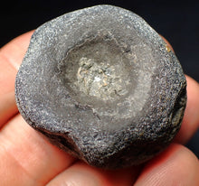 Load image into Gallery viewer, Jurassic ichthyosaur bone (vertebra) from Lyme Regis (38mm)
