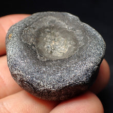 Load image into Gallery viewer, Jurassic ichthyosaur bone (vertebra) from Lyme Regis (38mm)
