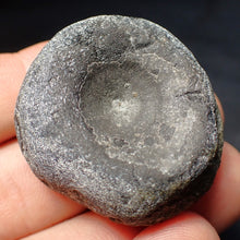 Load image into Gallery viewer, Jurassic ichthyosaur bone (vertebra) from Lyme Regis (38mm)
