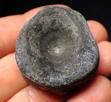 Load image into Gallery viewer, Jurassic ichthyosaur bone (vertebra) from Lyme Regis (38mm)
