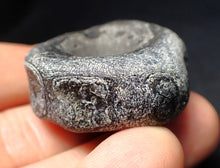 Load image into Gallery viewer, Jurassic ichthyosaur bone (vertebra) from Lyme Regis (38mm)
