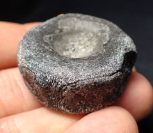 Load image into Gallery viewer, Jurassic ichthyosaur bone (vertebra) from Lyme Regis (38mm)
