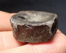 Load image into Gallery viewer, Jurassic ichthyosaur bone (vertebra) from Lyme Regis (31mm)
