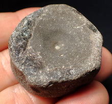Load image into Gallery viewer, Large Jurassic ichthyosaur bone (vertebra) from Lyme Regis (40mm)
