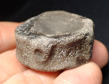 Load image into Gallery viewer, Large Jurassic ichthyosaur bone (vertebra) from Lyme Regis (40mm)
