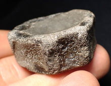 Load image into Gallery viewer, Large Jurassic ichthyosaur bone (vertebra) from Lyme Regis (40mm)
