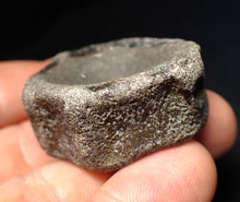 Load image into Gallery viewer, Large Jurassic ichthyosaur bone (vertebra) from Lyme Regis (40mm)
