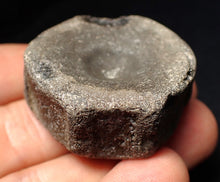 Load image into Gallery viewer, Large Jurassic ichthyosaur bone (vertebra) from Lyme Regis (40mm)
