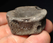 Load image into Gallery viewer, Large Jurassic ichthyosaur bone (vertebra) from Lyme Regis (40mm)
