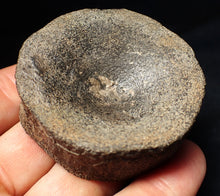 Load image into Gallery viewer, Large Jurassic ichthyosaur bone (vertebra) from Lyme Regis (55mm)
