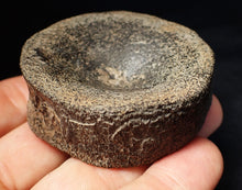 Load image into Gallery viewer, Large Jurassic ichthyosaur bone (vertebra) from Lyme Regis (55mm)
