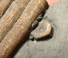 Load image into Gallery viewer, Jurassic ichthyosaur ribcage bone block from Watchet (78mm)

