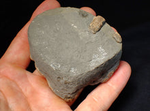 Load image into Gallery viewer, Jurassic ichthyosaur ribcage bone block from Watchet (78mm)
