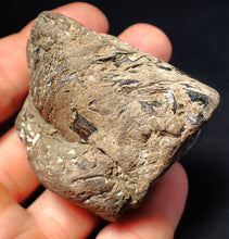 Load image into Gallery viewer, Jurassic ichthyosaur coprolite (poo) from Lyme Regis (55mm)
