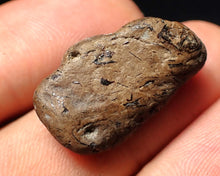 Load image into Gallery viewer, Jurassic ichthyosaur coprolite (poo) from Lyme Regis (25mm)
