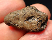 Load image into Gallery viewer, Jurassic ichthyosaur coprolite (poo) from Lyme Regis (25mm)
