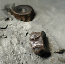 Load image into Gallery viewer, Jurassic ichthyosaur bones (vertebrae &amp; coracoid) in shale from Lyme Regis
