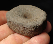 Load image into Gallery viewer, Large Jurassic ichthyosaur bone (vertebra) from Lyme Regis (44mm)
