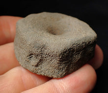Load image into Gallery viewer, Large Jurassic ichthyosaur bone (vertebra) from Lyme Regis (44mm)
