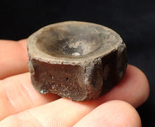Load image into Gallery viewer, Large high-quality Jurassic ichthyosaur bone (vertebra) from Lyme Regis (32mm)
