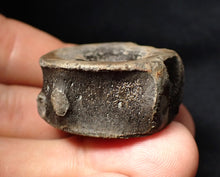 Load image into Gallery viewer, Large high-quality Jurassic ichthyosaur bone (vertebra) from Lyme Regis (32mm)
