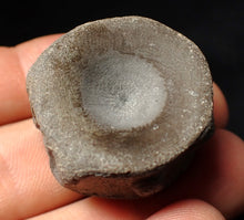 Load image into Gallery viewer, Large high-quality Jurassic ichthyosaur bone (vertebra) from Lyme Regis (32mm)
