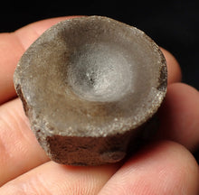 Load image into Gallery viewer, Large high-quality Jurassic ichthyosaur bone (vertebra) from Lyme Regis (32mm)
