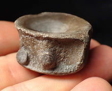 Load image into Gallery viewer, Large high-quality Jurassic ichthyosaur bone (vertebra) from Lyme Regis (32mm)
