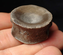 Load image into Gallery viewer, Large high-quality Jurassic ichthyosaur bone (vertebra) from Lyme Regis (32mm)
