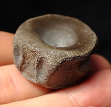 Load image into Gallery viewer, Large high-quality Jurassic ichthyosaur bone (vertebra) from Lyme Regis (32mm)
