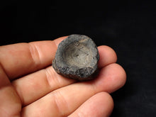 Load image into Gallery viewer, Large Jurassic ichthyosaur bone (vertebra) from Lyme Regis (31mm)
