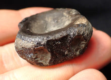Load image into Gallery viewer, Large Jurassic ichthyosaur bone (vertebra) from Lyme Regis (31mm)
