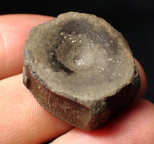 Load image into Gallery viewer, Jurassic ichthyosaur bone (vertebra) from Lyme Regis (28mm)
