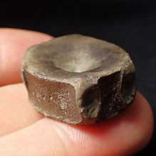 Load image into Gallery viewer, Jurassic ichthyosaur bone (vertebra) from Lyme Regis (28mm)
