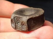 Load image into Gallery viewer, Jurassic ichthyosaur bone (vertebra) from Lyme Regis (28mm)
