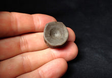 Load image into Gallery viewer, High quality Jurassic ichthyosaur bone (vertebra) from Lyme Regis (22mm)
