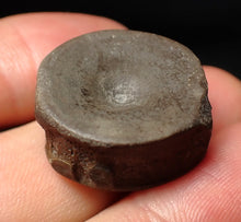 Load image into Gallery viewer, High quality Jurassic ichthyosaur bone (vertebra) from Lyme Regis (22mm)
