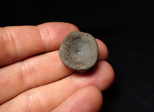 Load image into Gallery viewer, Jurassic ichthyosaur bone (vertebra) from Lyme Regis (22mm)
