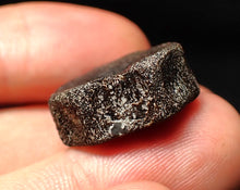 Load image into Gallery viewer, Jurassic ichthyosaur bone (vertebra) from Lyme Regis (20mm)
