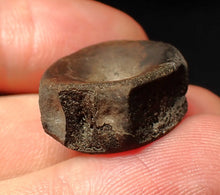 Load image into Gallery viewer, Jurassic ichthyosaur bone (vertebra) from Lyme Regis (21mm)
