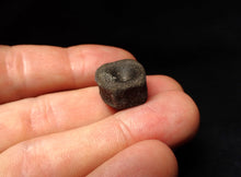 Load image into Gallery viewer, Juvenile Jurassic ichthyosaur bone (vertebra) from Lyme Regis (18mm)

