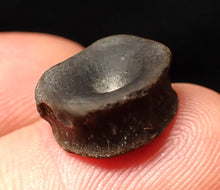 Load image into Gallery viewer, Juvenile Jurassic ichthyosaur bone (vertebra) from Lyme Regis (13mm)
